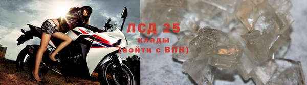 дурь Богданович