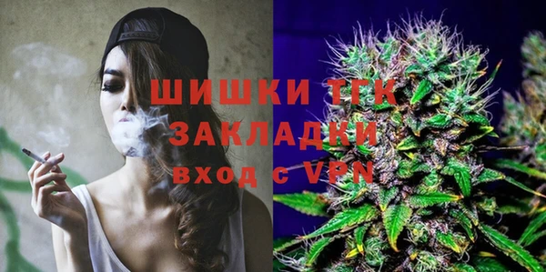 ешки Богородицк