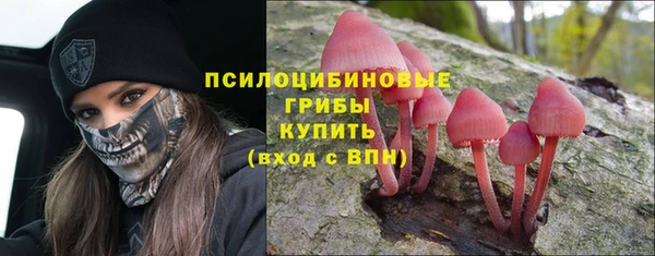 ешки Богородск