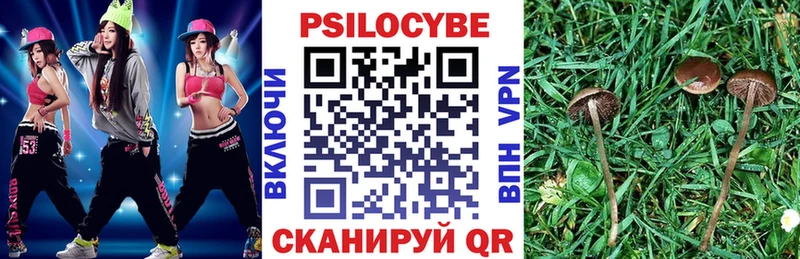 Купить закладки  Десногорск  Галлюциногенные грибы Psilocybine cubensis 